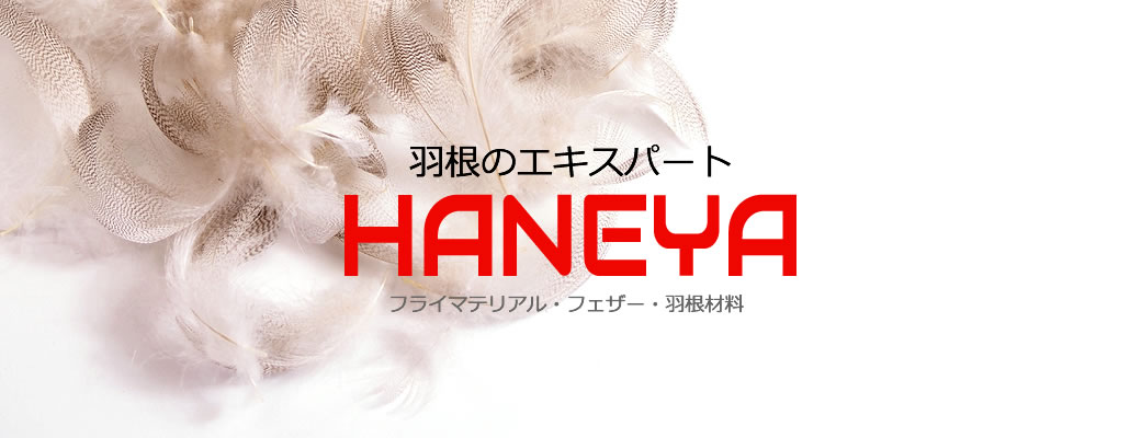 羽根のエキスパートHANEYA